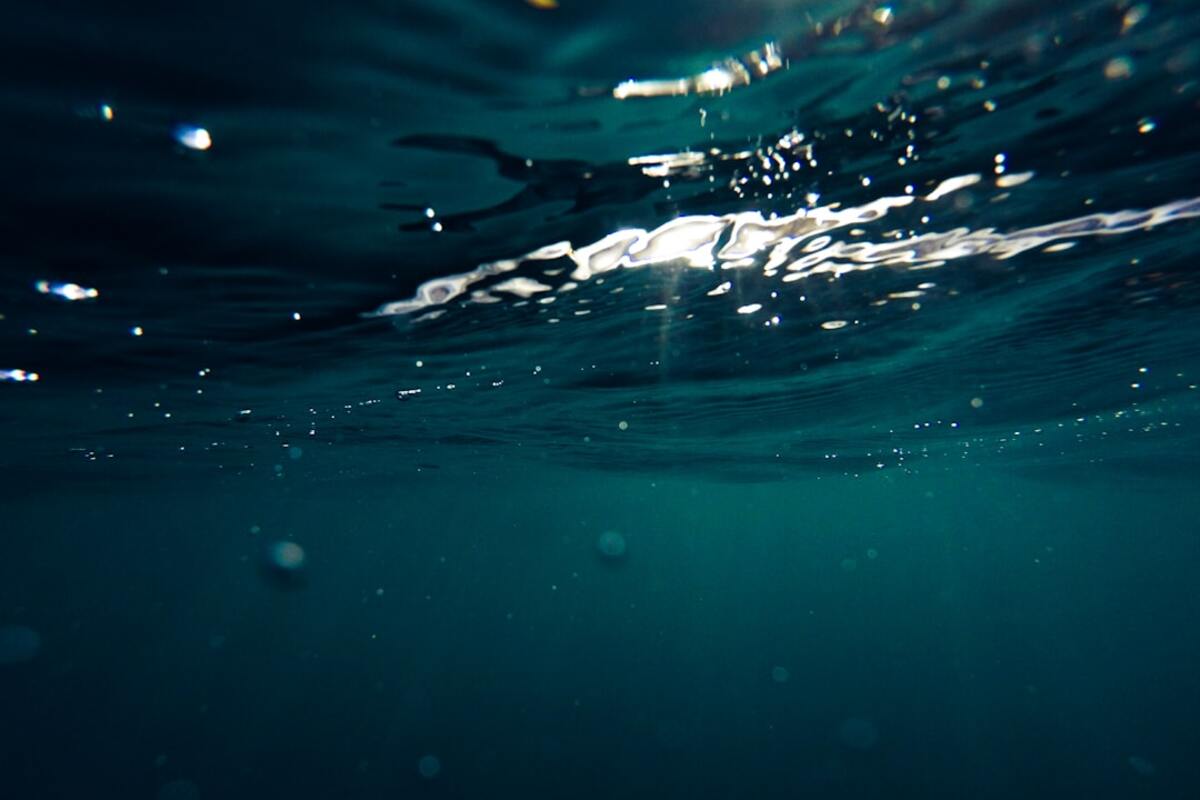 The Unexplored Depths of the Mariana Trench: A Journey to the Earth's Last Frontier